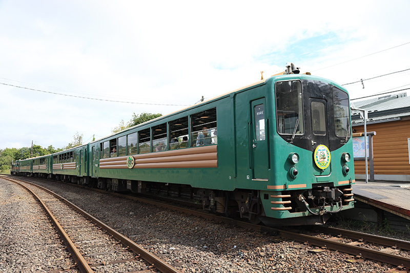 くしろ湿原ノロッコ号